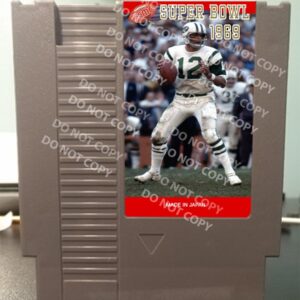 Tecmo Super Bowl 1969 - For Play On The NES Nintendo Entertainment System