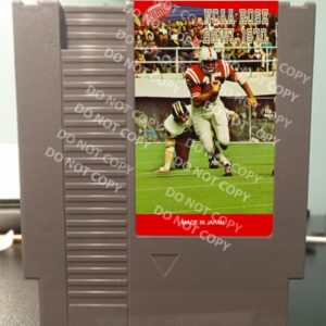 NCAA Rose Bowl 1970 - For Play On The NES Nintendo Entertainment System